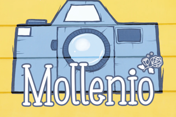 Mollenio: A Versatile Display Font for Modern Design Needs