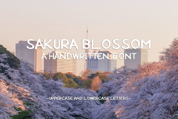 Sakura Blossom: A Versatile Display Font for Creative and Professional Workflows